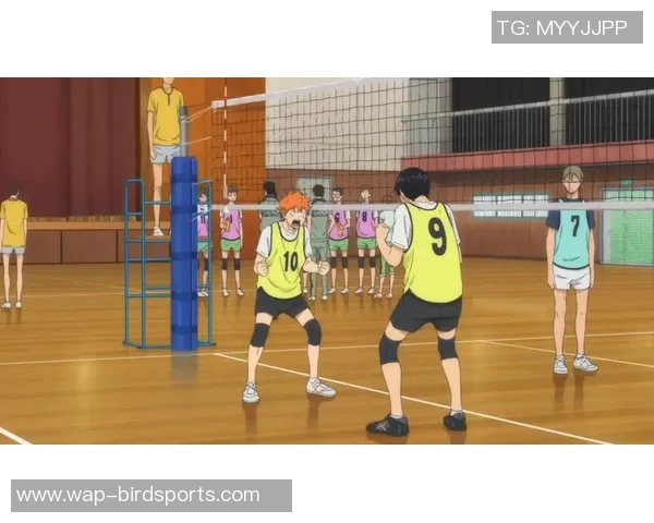 上海排球队快攻革新引领新潮流提升比赛效率与观赏性