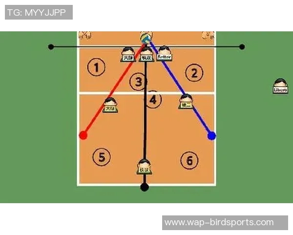 成都排球队反击战术分析与得失总结探讨