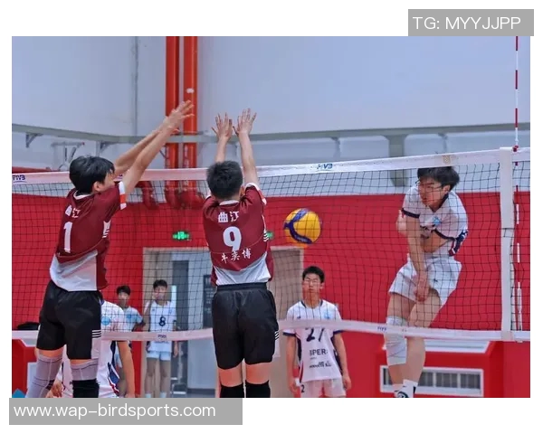 杭州篮球队在锦标赛中的拼搏历程与荣耀时刻全景回顾 杭州篮球队在锦标赛中的拼搏历程与荣耀时刻全景回顾