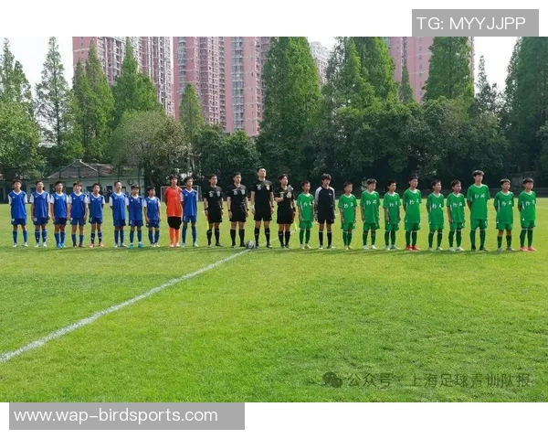 全国锦标赛分析上海足球队配合表现与欧冠赛场的对比探讨 全国锦标赛分析上海足球队配合表现与欧冠赛场的对比探讨