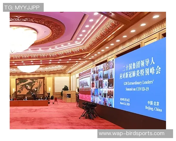 深圳排球队的奋进之路与欧冠足球的辉煌交汇