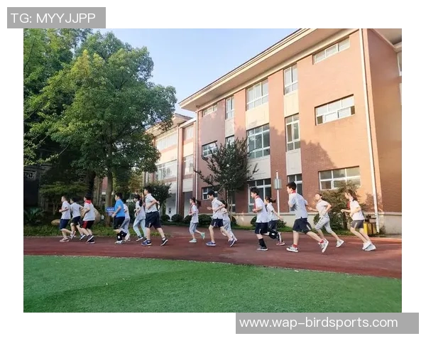 南京排球队在杯赛中的技术表现分析与点评