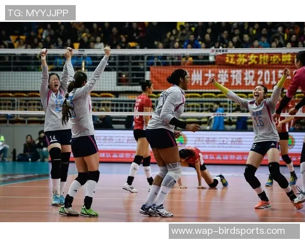 体育实时数据南京排球队阵地战表现分析及其对比赛结果的影响探讨