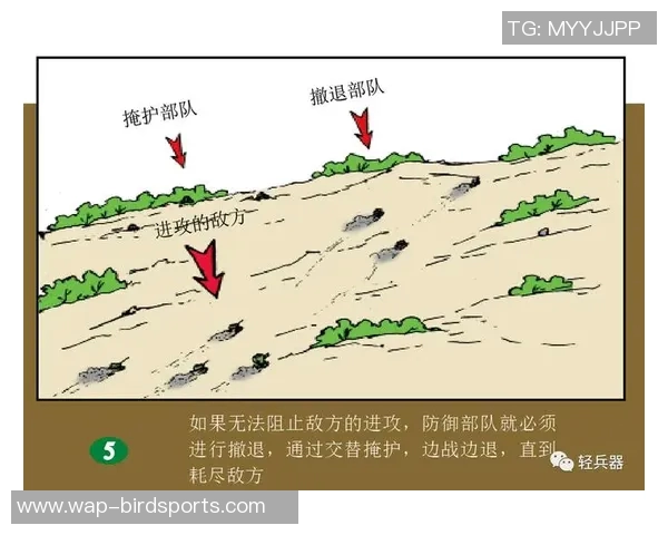 武汉排球队区域防守策略解析与战术应用探讨实时数据 武汉排球队区域防守策略解析与战术应用探讨实时数据