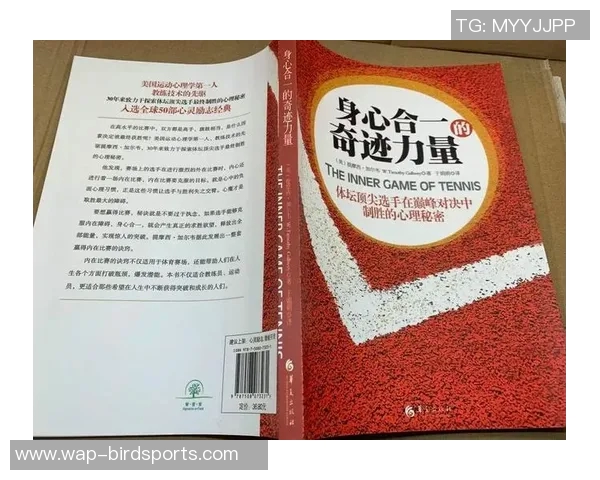 西安网球队的反击策略与技术解析深度探讨网球运动的魅力与挑战实时数据