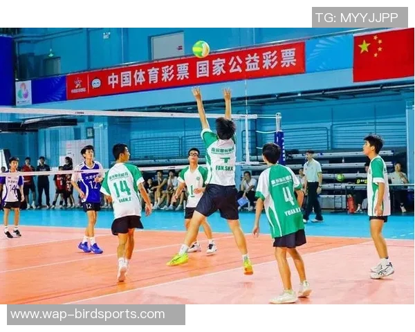 运动最新数据广州排球队灵活性创新高引领排球新潮流展现竞技魅力